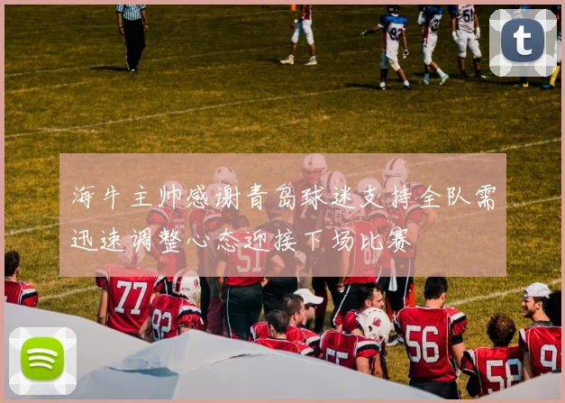 海牛主帅感谢青岛球迷支持全队需迅速调整心态迎接下场比赛