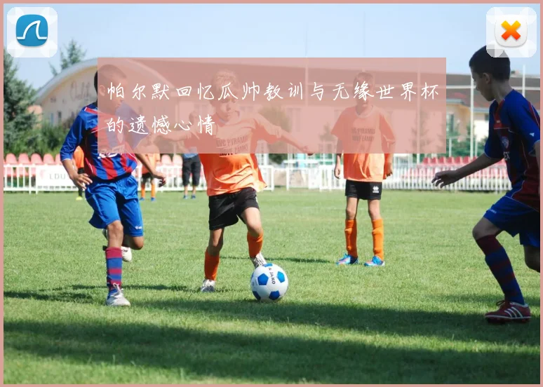 帕尔默回忆瓜帅教训与无缘世界杯的遗憾心情